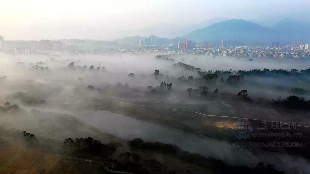 枸杞虽平易近人,吃不对问题多