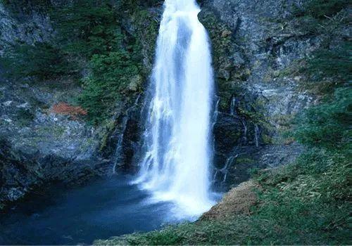 特宝生物孙黎:生物医药发展的底层是对疾病和技术系统化的理解