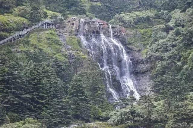 雪天女子骑车摔倒,索性躺地上自拍,在哪里跌倒就在哪里拍照